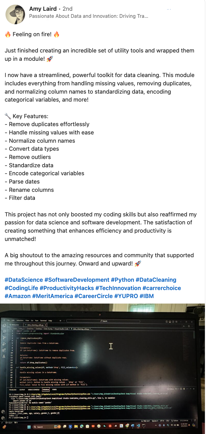 A screenshot of Amy Laird's data project.
